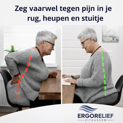 ErgoRelief zitkussen